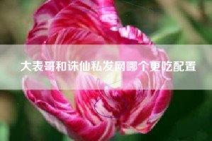 大表哥和诛仙私发网哪个更吃配置