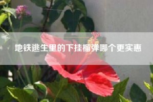 地铁逃生里的下挂榴弹哪个更实惠