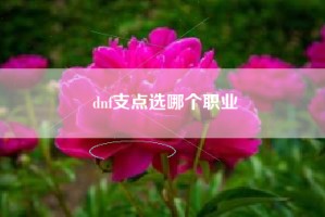 dnf支点选哪个职业