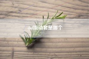 dnf流动套是哪个