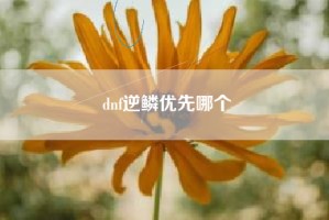 dnf逆鳞优先哪个
