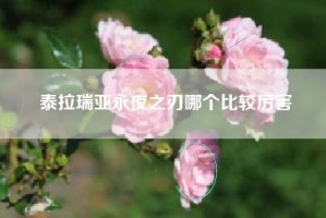 泰拉瑞亚永夜之刃哪个比较厉害