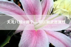 天龙八部SF哪个npc可以刷武器属性