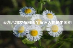 天龙八部发布网哪个角色人物是中国的