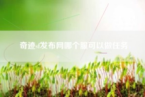 奇迹sf发布网哪个服可以做任务