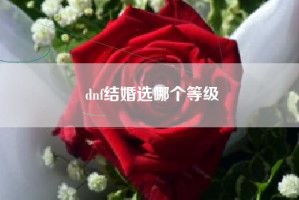 dnf结婚选哪个等级
