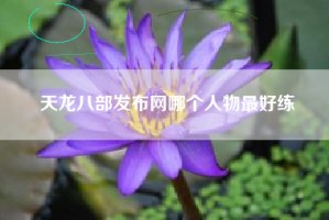 天龙八部发布网哪个人物最好练