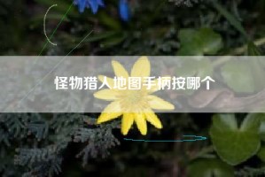 怪物猎人地图手柄按哪个