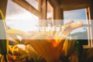 dnf传说套换哪个