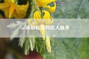 ios诛仙私发网区人最多