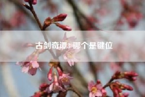 古剑奇谭3 哪个是键位