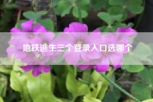 地铁逃生三个登录入口选哪个