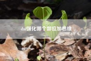 dnf强化哪个部位加思维