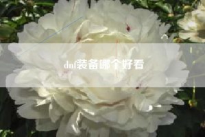 dnf装备哪个好看