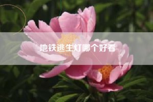 地铁逃生灯哪个好看