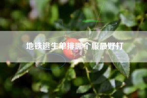 地铁逃生单排哪个服最好打