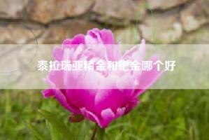 泰拉瑞亚精金和钯金哪个好