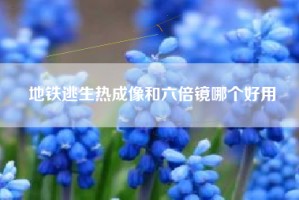 地铁逃生热成像和六倍镜哪个好用