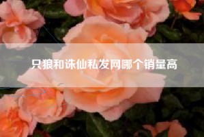 只狼和诛仙私发网哪个销量高