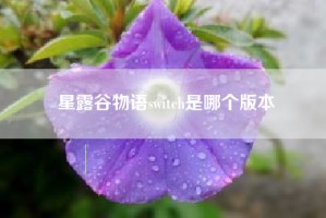 星露谷物语switch是哪个版本