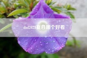 dnf2023夏日哪个好看