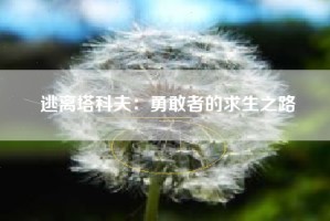 逃离塔科夫：勇敢者的求生之路