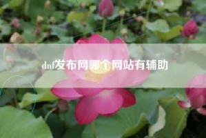 dnf发布网哪个网站有辅助