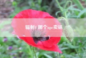 辐射4 哪个npc卖铝