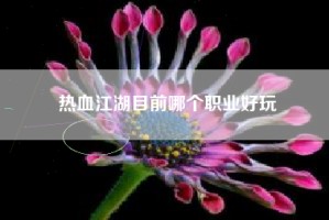 热血江湖目前哪个职业好玩