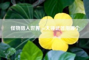 怪物猎人世界 pc大锤武器用哪个