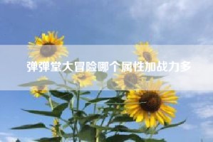 弹弹堂大冒险哪个属性加战力多