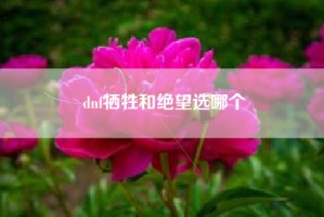 dnf牺牲和绝望选哪个
