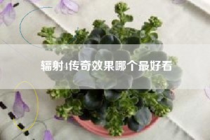 辐射4传奇效果哪个最好看