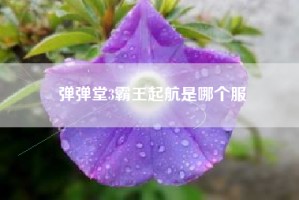 弹弹堂3霸王起航是哪个服