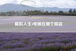 模拟人生4电梯在哪个商店