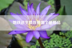 地铁逃生精致枪哪个是极品