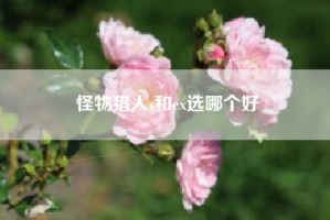 怪物猎人s和ex选哪个好