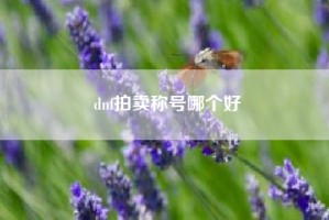 dnf拍卖称号哪个好