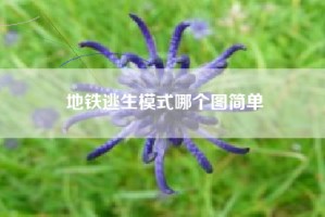 地铁逃生模式哪个图简单
