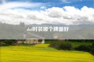 dnf时装哪个牌面好