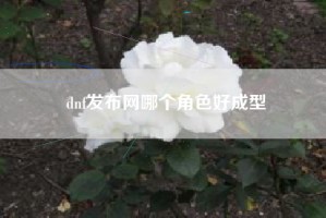 dnf发布网哪个角色好成型