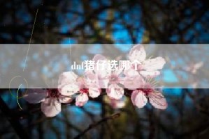 dnf猪仔选哪个