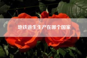 地铁逃生生产在哪个国家