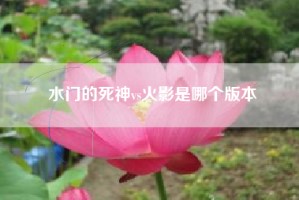 水门的死神vs火影是哪个版本