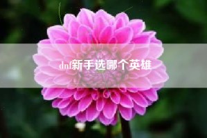 dnf新手选哪个英雄