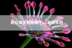 泰拉瑞亚前期哪个npc非常实用
