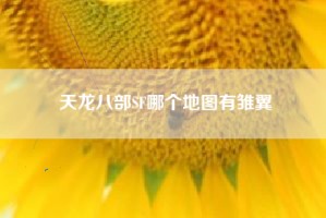 天龙八部SF哪个地图有雏翼