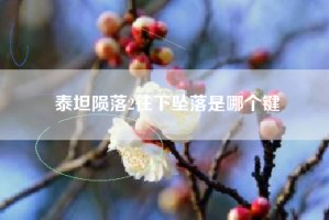 泰坦陨落2往下坠落是哪个键