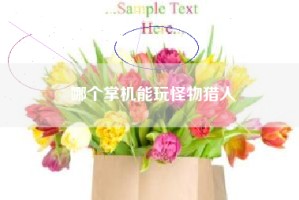 哪个掌机能玩怪物猎人