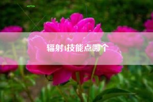 辐射4技能点哪个